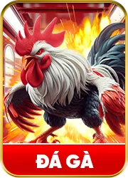 đá gà luck8